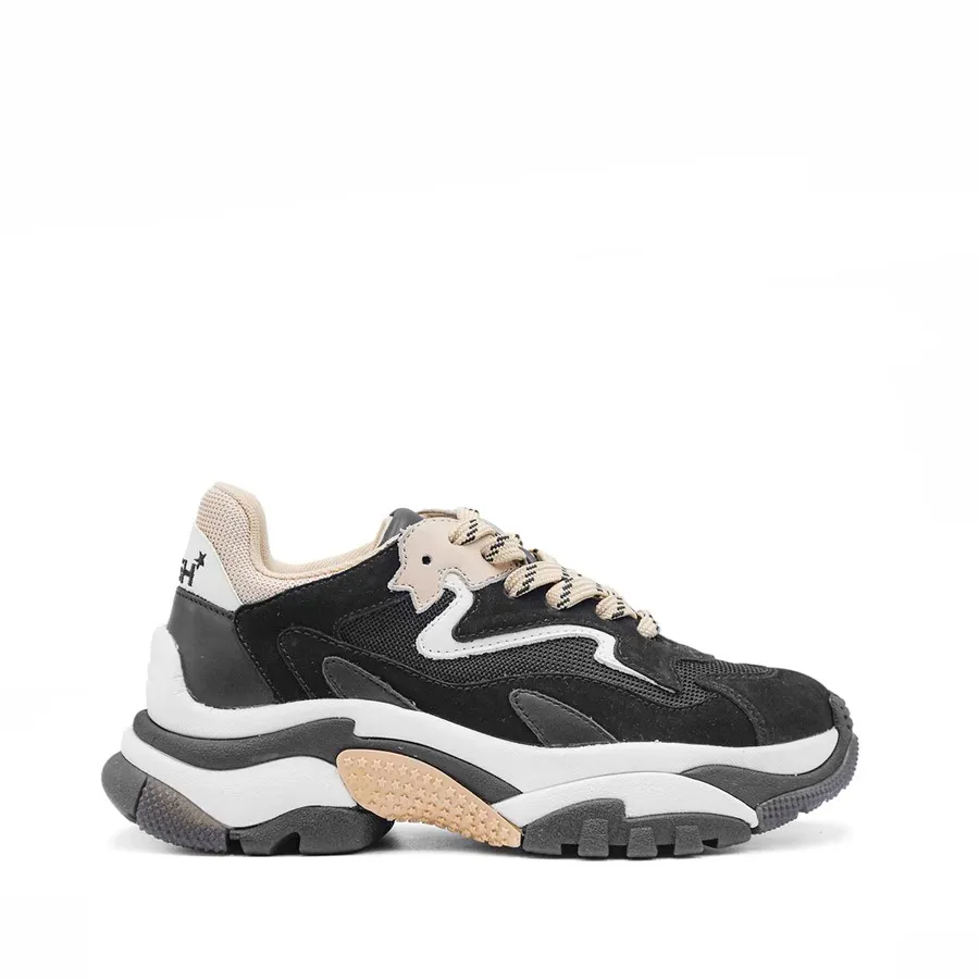 ASH sneaker ADDICT03 in pelle/tessuto nero