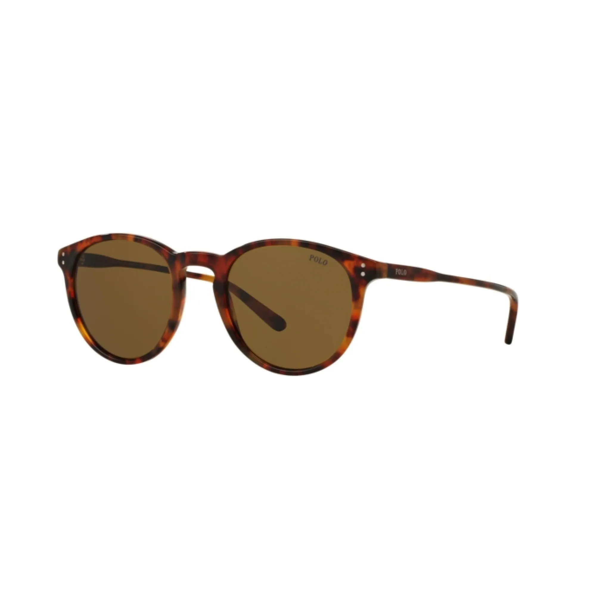   Polo PH 4110 - 501773 Lucido Havana Jerry | Occhiale Da Sole Uomo 